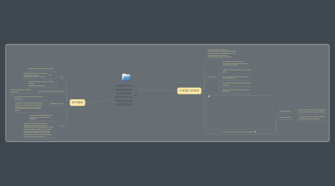 Mind Map: CONTROLES INTERNOS Y SOFTWARE APLICADO AL MANEJO DE ALMACENES
