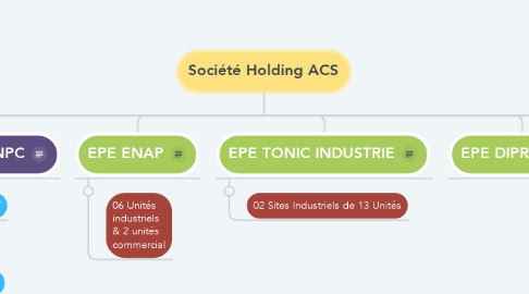 Mind Map: Société Holding ACS