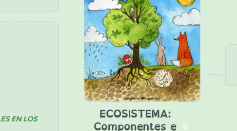 Mind Map: ECOSISTEMA: Componentes e interacciones