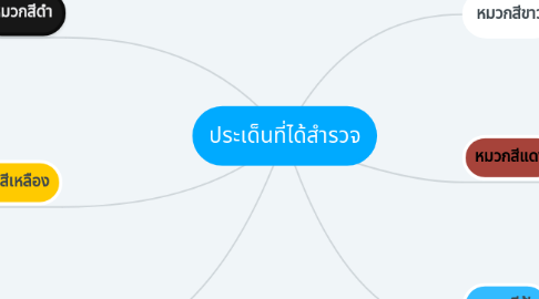 Mind Map: ประเด็นที่ได้สำรวจ