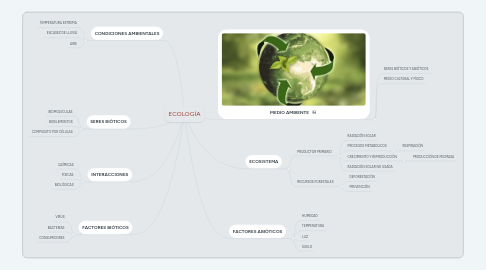 Mind Map: ECOLOGÍA