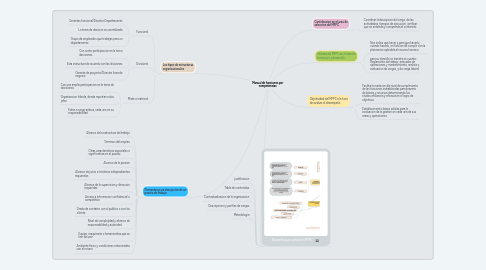 Mind Map: Manual de funciones por competencias