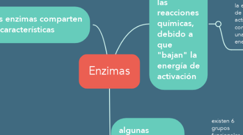 Mind Map: Enzimas