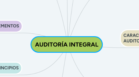 Mind Map: AUDITORÍA INTEGRAL