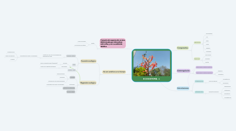 Mind Map: ECOSISTEMA