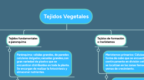 Mind Map: Tejidos Vegetales