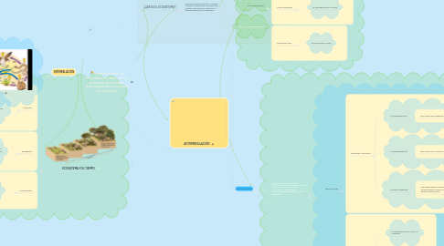 Mind Map: Interrelaciones del ecosistema a través de los procesos de sucesión, autorregulación y regresión en el tiempo.