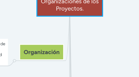 Mind Map: Organizaciones de los Proyectos.