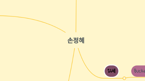 Mind Map: 손정혜