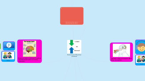 Mind Map: Bottom-up and Top-down processes