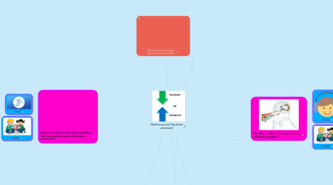 Mind Map: Bottom-up and Top-down processes