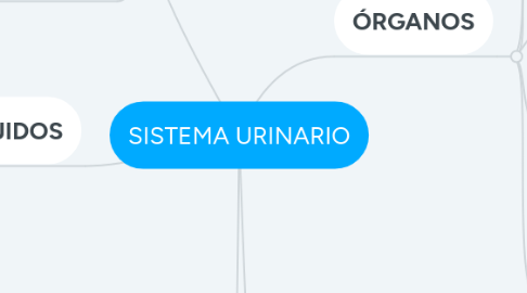 Mind Map: SISTEMA URINARIO