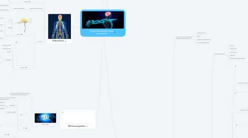 Mind Map: Propiedades biológicas de la conducta