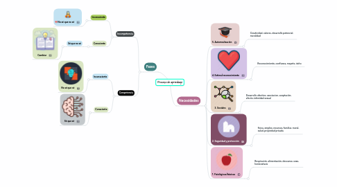 Mind Map: Proceso de aprendizaje