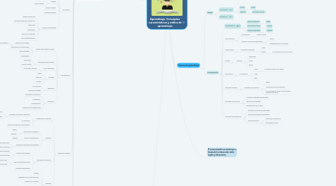 Mind Map: Aprendizaje, Conceptos características y estilos de aprendizaje.