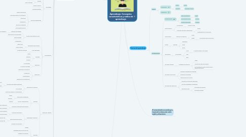 Mind Map: Aprendizaje, Conceptos  características y estilos de aprendizaje.