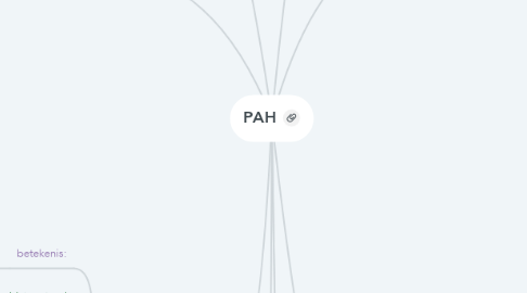 Mind Map: PAH