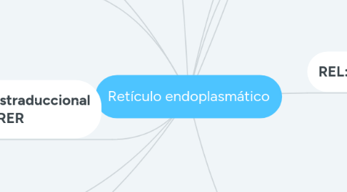 Mind Map: Retículo endoplasmático