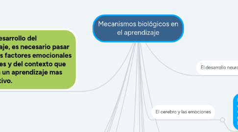 Mind Map: Mecanismos biológicos en el aprendizaje