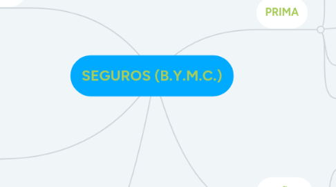 Mind Map: SEGUROS (B.Y.M.C.)