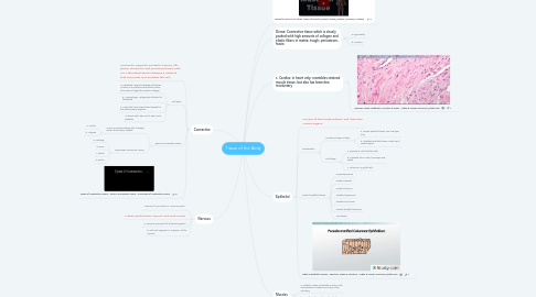 Mind Map: Tissue of the Body