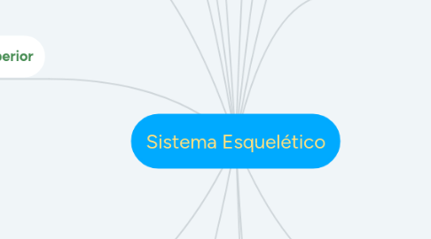 Mind Map: Sistema Esquelético