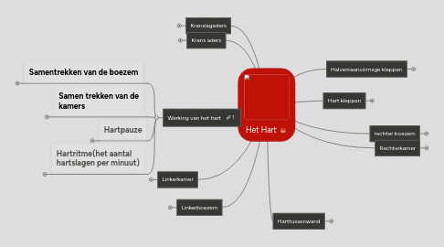 Mind Map: Het Hart