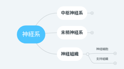 Mind Map: 神経系