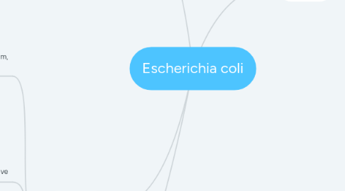 Mind Map: Escherichia coli