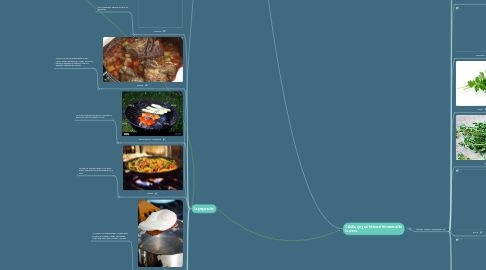 Mind Map: Proceso de una alimentación correcta y sabrosa