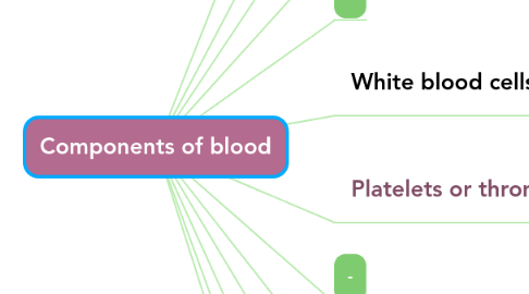 Mind Map: Components of blood