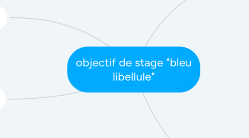 Mind Map: objectif de stage "bleu libellule"