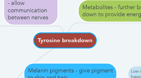 Mind Map: Tyrosine breakdown