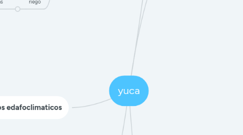Mind Map: yuca