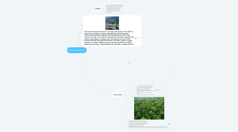 Mind Map: Amazon Rainforest