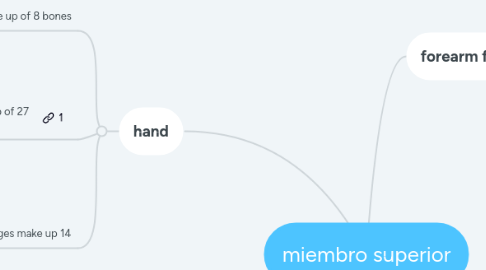 Mind Map: miembro superior