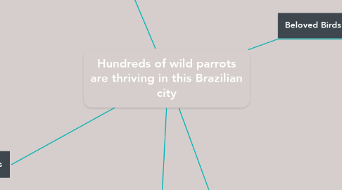 Mind Map: Hundreds of wild parrots are thriving in this Brazilian city