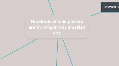 Mind Map: Hundreds of wild parrots are thriving in this Brazilian city