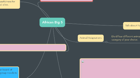 Mind Map: African Big 5