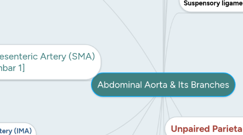 Mind Map: Abdominal Aorta & Its Branches