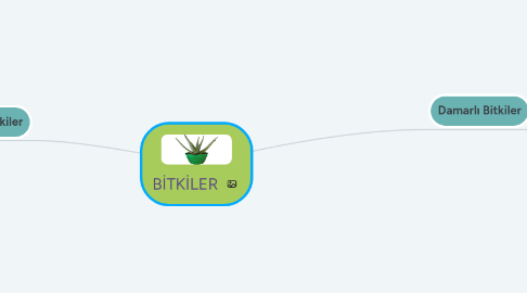 Mind Map: BİTKİLER