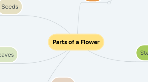 Mind Map: Parts of a Flower