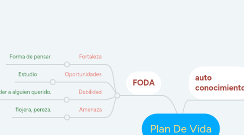 Mind Map: Plan De Vida