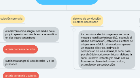 Mind Map: sistema cardiovascular