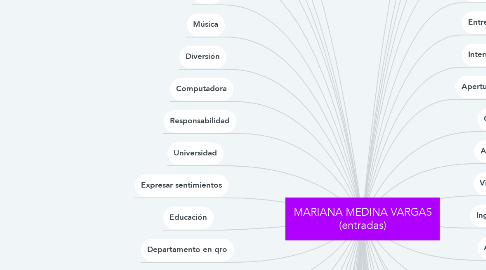 Mind Map: MARIANA MEDINA VARGAS (entradas)