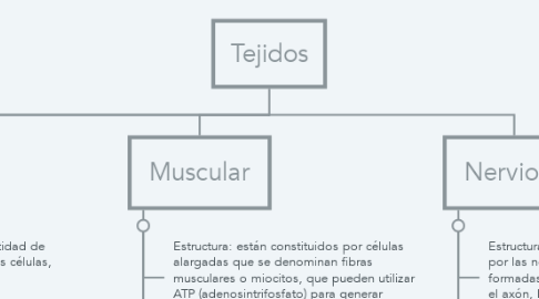 Mind Map: Tejidos