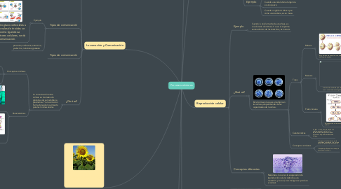 Mind Map: Procesos celulares