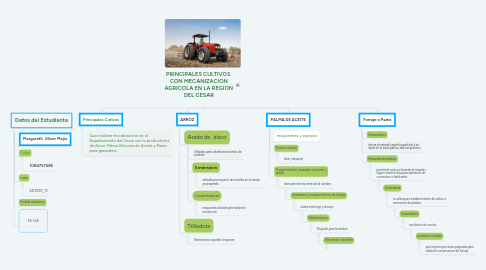 Mind Map: PRINCIPALES CULTIVOS CON MECANIZACION AGRICOLA EN LA REGION DEL CESAR