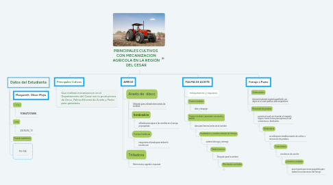 Mind Map: PRINCIPALES CULTIVOS  CON MECANIZACION AGRICOLA EN LA REGION DEL CESAR