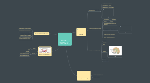 Mind Map: NUESTRO CEREBRO Y EL APRENDIZAJE